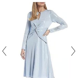 NWT Black Lable Ralph Lauren Light Blue Long Sleeve Dress Long Sleeve.